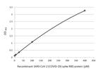 SARS-CoV-2 Spike Protein (RBD) Antibody in ELISA (ELISA)