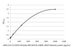 SARS-CoV-2 Spike Protein (RBD) Antibody in ELISA (ELISA)