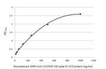 SARS-CoV-2 Spike Protein S2 Antibody in ELISA (ELISA)