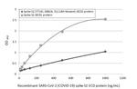 SARS-CoV-2 Spike Protein S2 Antibody in ELISA (ELISA)