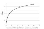 SARS/SARS-CoV-2 Spike Protein S2 Antibody in ELISA (ELISA)