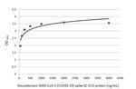 SARS/SARS-CoV-2 Spike Protein S2 Antibody in ELISA (ELISA)