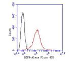 EGFR Antibody in Flow Cytometry (Flow)