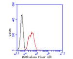 MSH6 Antibody in Flow Cytometry (Flow)