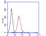 CD172a (SIRP alpha) Antibody in Flow Cytometry (Flow)