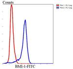 BMI-1 Antibody in Flow Cytometry (Flow)