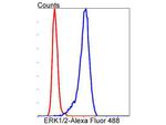 ERK1/ERK2 Antibody in Flow Cytometry (Flow)