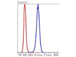 NFkB p65 Antibody in Flow Cytometry (Flow)