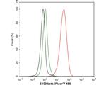 S100B Antibody in Flow Cytometry (Flow)