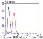 Histone H2B Antibody in Flow Cytometry (Flow)