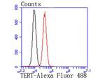 TERT Antibody in Flow Cytometry (Flow)