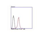 PDCD4 Antibody in Flow Cytometry (Flow)