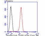 Phospho-CREB (Ser133) Antibody in Flow Cytometry (Flow)