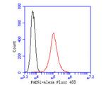 FADS1 Antibody in Flow Cytometry (Flow)