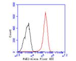 PAK1 Antibody in Flow Cytometry (Flow)