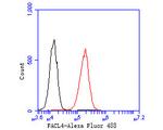 ACSL4 Antibody in Flow Cytometry (Flow)