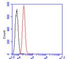 CD166 (ALCAM) Antibody in Flow Cytometry (Flow)