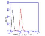 HDAC3 Antibody in Flow Cytometry (Flow)