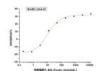 ErbB3 Chimeric Antibody in Neutralization (Neu)