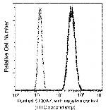 S100A7 Antibody in Flow Cytometry (Flow)