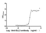 DLL3 Antibody in ELISA (ELISA)