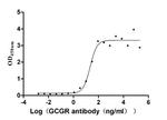 Glucagon Receptor Antibody in ELISA (ELISA)