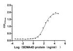 CD100 (SEMA4D) Antibody in ELISA (ELISA)