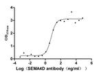 CD100 (SEMA4D) Antibody in ELISA (ELISA)