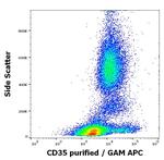 CD35 Antibody in Flow Cytometry (Flow)