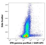 IFN gamma Antibody in Flow Cytometry (Flow)