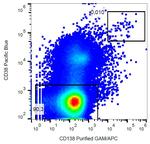 CD138 Antibody in Flow Cytometry (Flow)