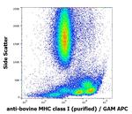 MHC Class I Antibody in Flow Cytometry (Flow)