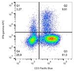 IFN gamma Antibody in Flow Cytometry (Flow)