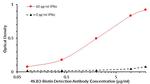 IFN gamma Antibody in ELISA (ELISA)