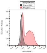 GAPDHS Antibody in Flow Cytometry (Flow)