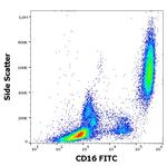 CD16 Antibody in Flow Cytometry (Flow)