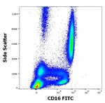 CD16 Antibody in Flow Cytometry (Flow)