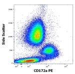 SIRP alpha Antibody in Flow Cytometry (Flow)