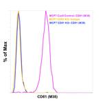 CD81 Antibody in Flow Cytometry (Flow)