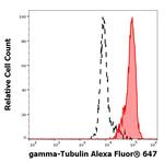 gamma Tubulin Antibody in Flow Cytometry (Flow)