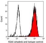 Histone H2A.X Antibody in Flow Cytometry (Flow)