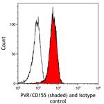 CD155 Antibody in Flow Cytometry (Flow)