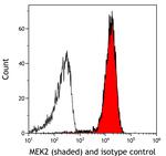 MEK2 Antibody in Flow Cytometry (Flow)