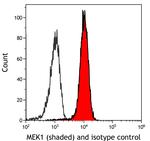 MEK1 Antibody in Flow Cytometry (Flow)