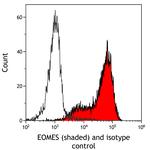 EOMES Antibody in Flow Cytometry (Flow)