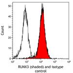 RUNX3 Antibody in Flow Cytometry (Flow)