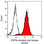 STAT5 alpha Antibody in Flow Cytometry (Flow)