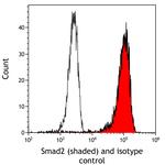 SMAD2 Antibody in Flow Cytometry (Flow)