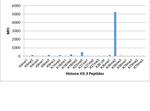 H3K36me2 Antibody in Luminex (LUM)