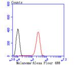 Tyrosinase Antibody in Flow Cytometry (Flow)